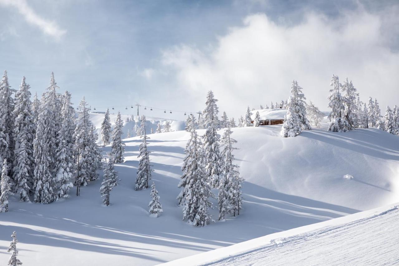 Apartments Niederseer Saalbach-Hinterglemm Eksteriør bilde